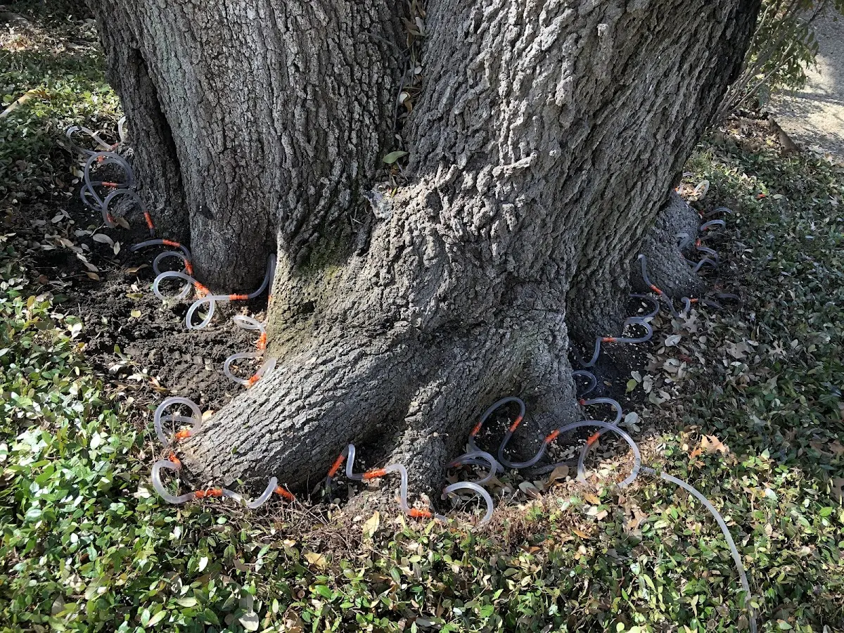 Detailed Shrub and Hedge Trimming job site in Terril